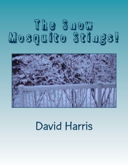 The Snow Mosquito Stings!: A Collection of Poems
