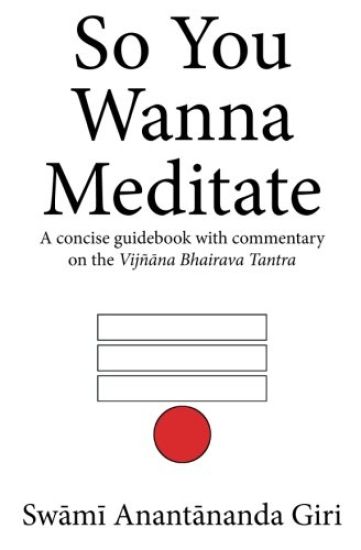 So You Wanna Meditate: A concise guidebook with commentary on the Vijnana Bhairava Tantra