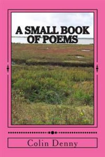 A small book of poems: Volume 1