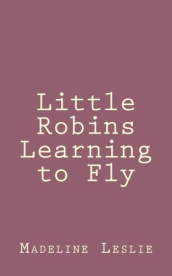 Little Robins Learning to Fly