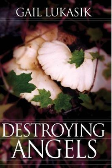 Destroying Angels: A Leigh Girard Mystery