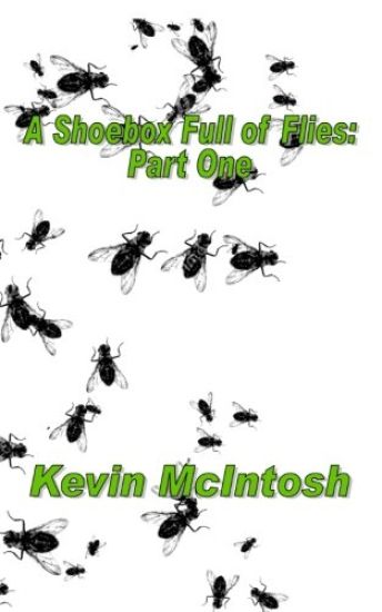 A Shoebox Full Of Flies: Part One