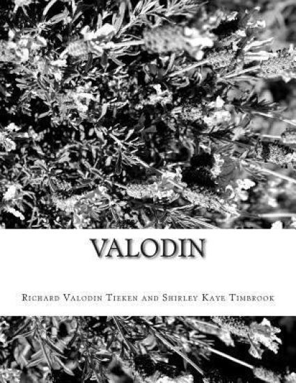 Valodin