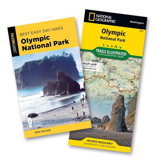 Olympic National Park Best Easy Day Hiking Guide