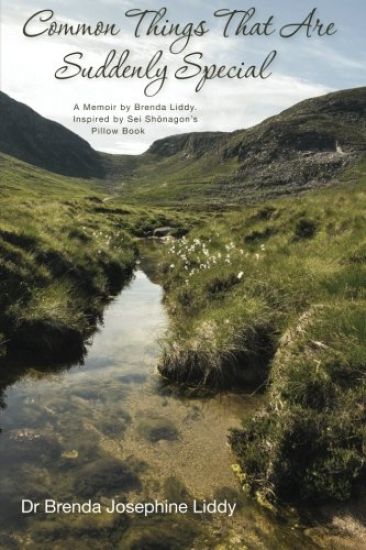 Common Things That Are Suddenly Special: A Memoir by Brenda Liddy. Inspired by Sei Shonagon's Pillow Book