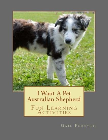 I Want A Pet Australian Shepherd