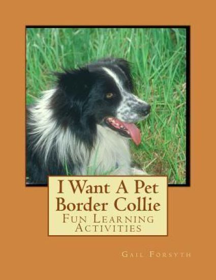 I Want A Pet Border Collie