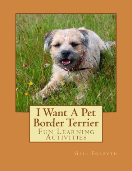 I Want A Pet Border Terrier: Fun Learning Activities