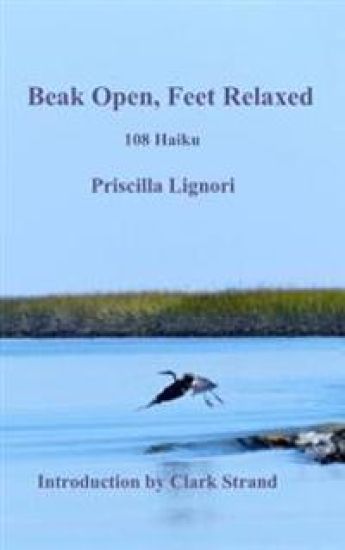 Beak Open, Feet Relaxed: 108 Haiku