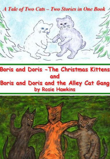 Boris and Doris the Christmas Kittens, and Boris and Doris and the Alley Cat Gang: A Tale of Two Cats - Two Stories in One Book