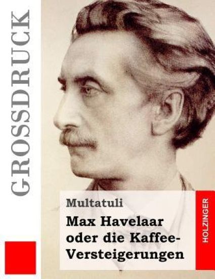 Max Havelaar oder die Kaffee-Versteigerungen (Großdruck)