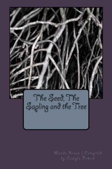 The Seed, The Sapling and the Tree