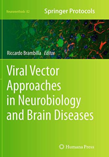 Viral Vector Approaches in Neurobiology and Brain Diseases