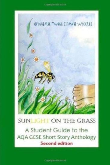 Sunlight on the Grass: A Student Guide to the AQA GCSE Short Story Anthology