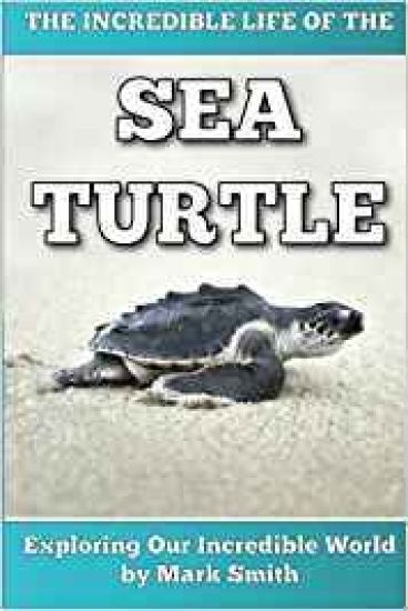 The Incredible Life of the Sea Turtle: Fun Animal Ebooks for Adults & Kids 7 and Up With Incredible Photos (Exploring Our Incredible World Series)