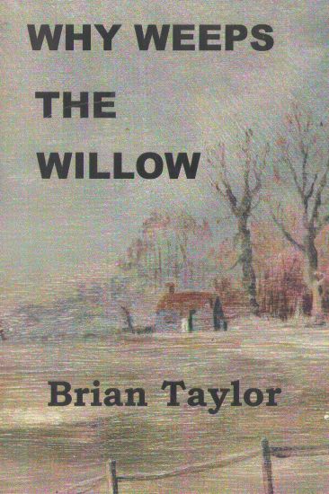 Why Weeps the Willow