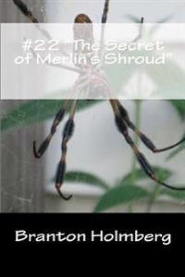 #22 "The Secret of Merlin's Shroud": Sam 'n Me(TM) adventure books