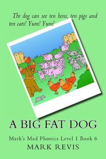 A Big Fat Dog: Mark's Mad Phonics Level 1 Book 6