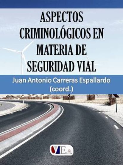 Aspectos criminológicos en materia de seguridad vial
