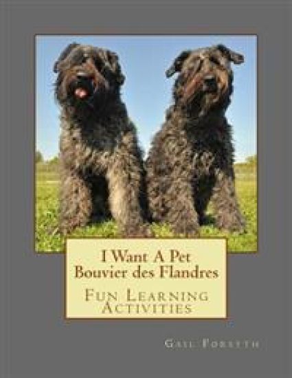 I Want A Pet Bouvier des Flandres