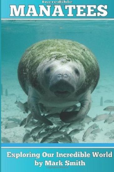 Incredible Manatees: Fun Animal Ebooks for Adults & Kids 7 and Up With Facts & Incredible Photos