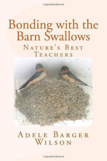 Bonding with the Barn Swallows: Nature's Best Teachers