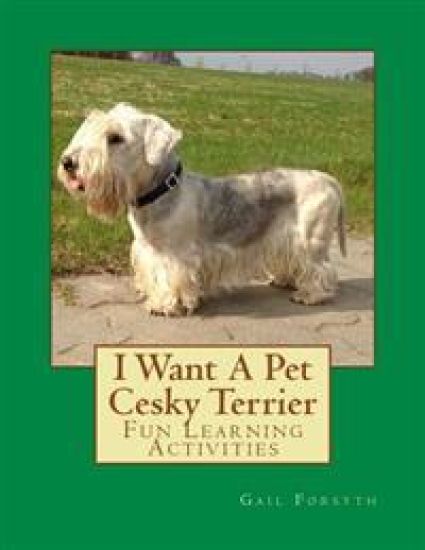 I Want A Pet Cesky Terrier