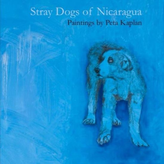 Stray Dogs of Nicaragua