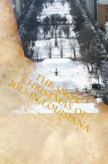 The Snow Christmas of 2013 in Louisiana