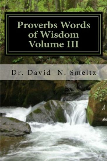 Proverbs Words of Wisdom Volume III: Devotional Guide