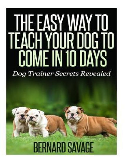 The Easy Way To Teach Your Dog To Come In 10 Days