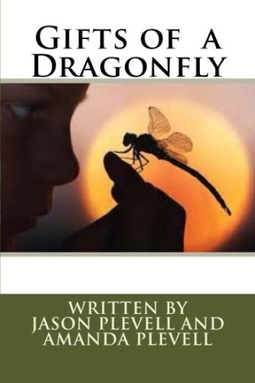 Gifts of a Dragonfly