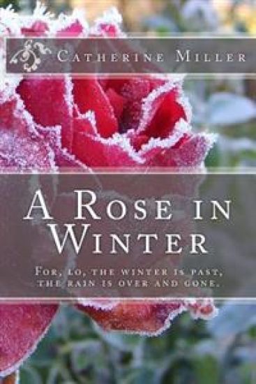 A Rose in Winter