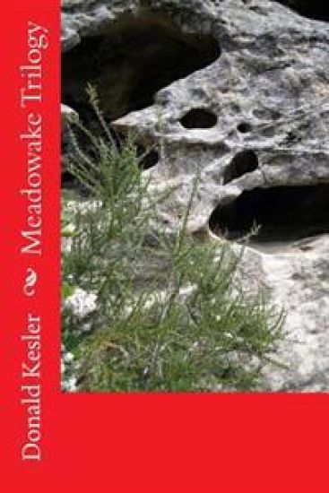Meadowake Trilogy: The loss of the kingdom of Meadowake and the fight to regain the kingdom