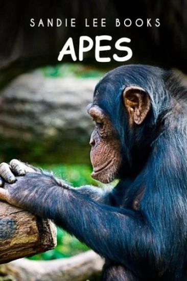 Apes - Sandie Lee Books