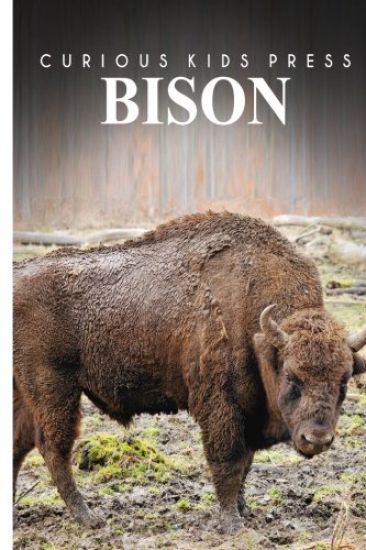 Bison - Sandie Lee Books