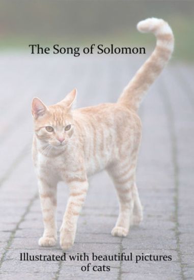 The Song of Solomon: Illustrated with Beautiful Pictures of Cats