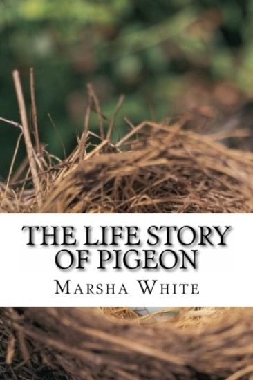 The Life Story of Pigeon: Moving from trees to windows, a side-effect of deforestation