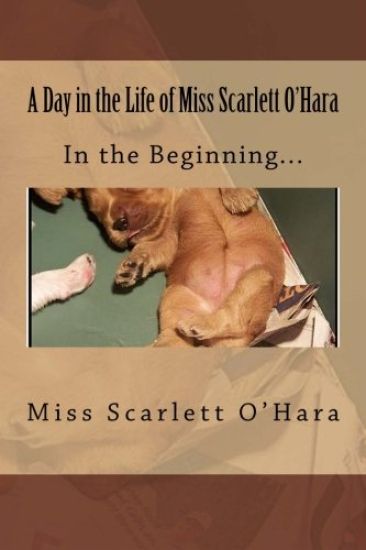 A Day in the Life of Miss Scarlett O'Hara: In the Beginning