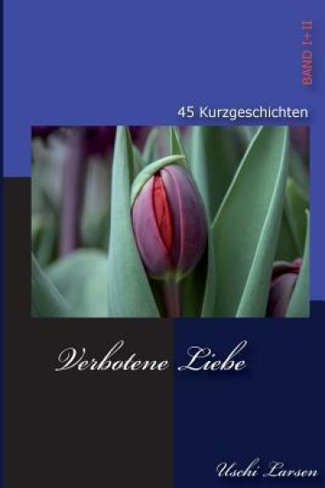 Verbotene Liebe: 45 Erotische Kurzgeschichten