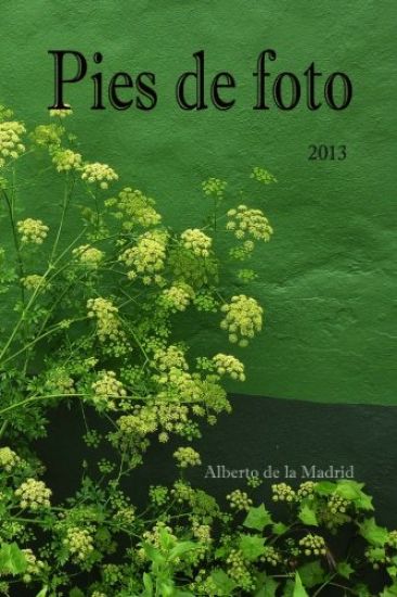 Pies de foto 2013