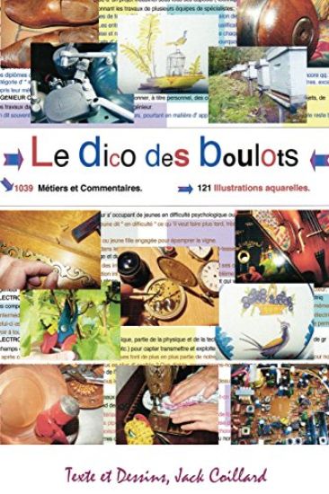 Le Dico des Boulots.: Dictionnaire commenté et illustré.