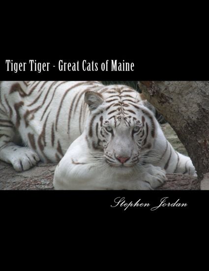 Tiger Tiger - Great Cats of Maine: D.E.W. Animal Kingdom Resident Tigers