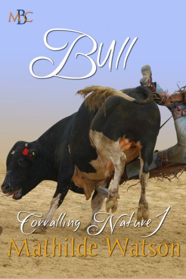 Bull: Corralling Nature 1