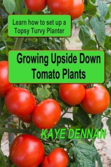 Growing Upside Down Tomato Plants: Learn How to Set Up a Topsy Turvy Planter