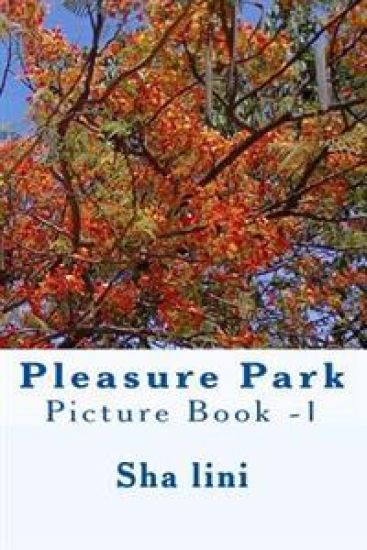Pleasure Park: Picture Book -1