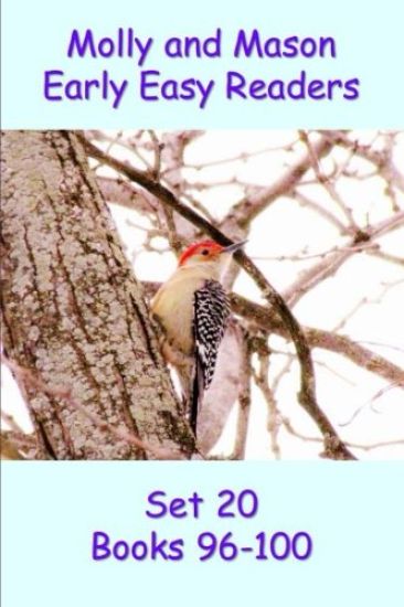 Molly and Mason Early Easy Readers Set 20 Books 96-100