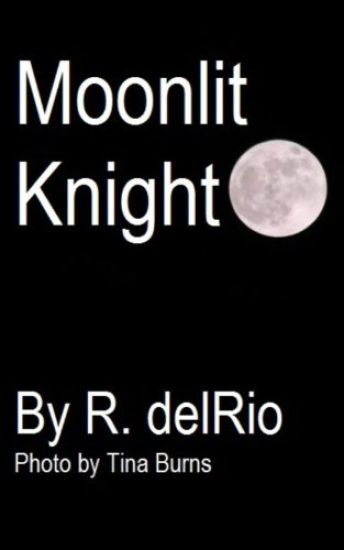 Moonlit Knight