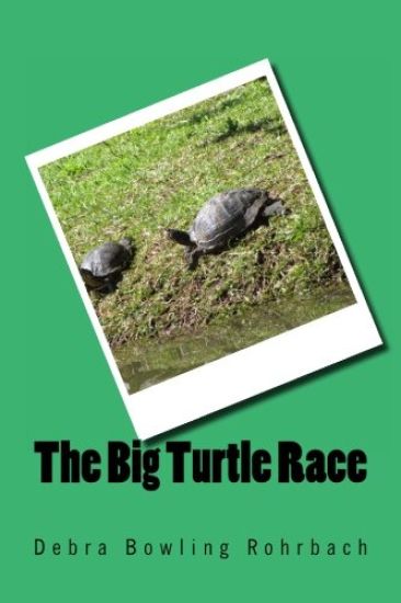 The Big Turtle Race