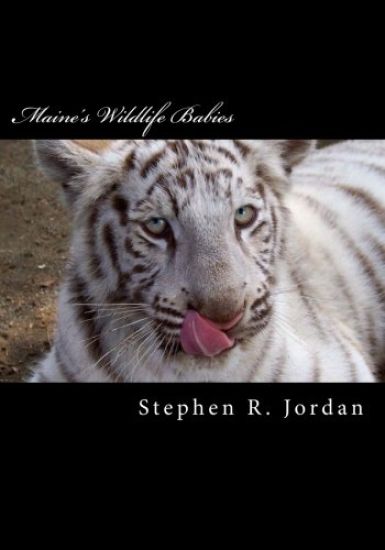 Maine's Wildlife Babies: D.E.W. Animal Kingdom Baby Residents